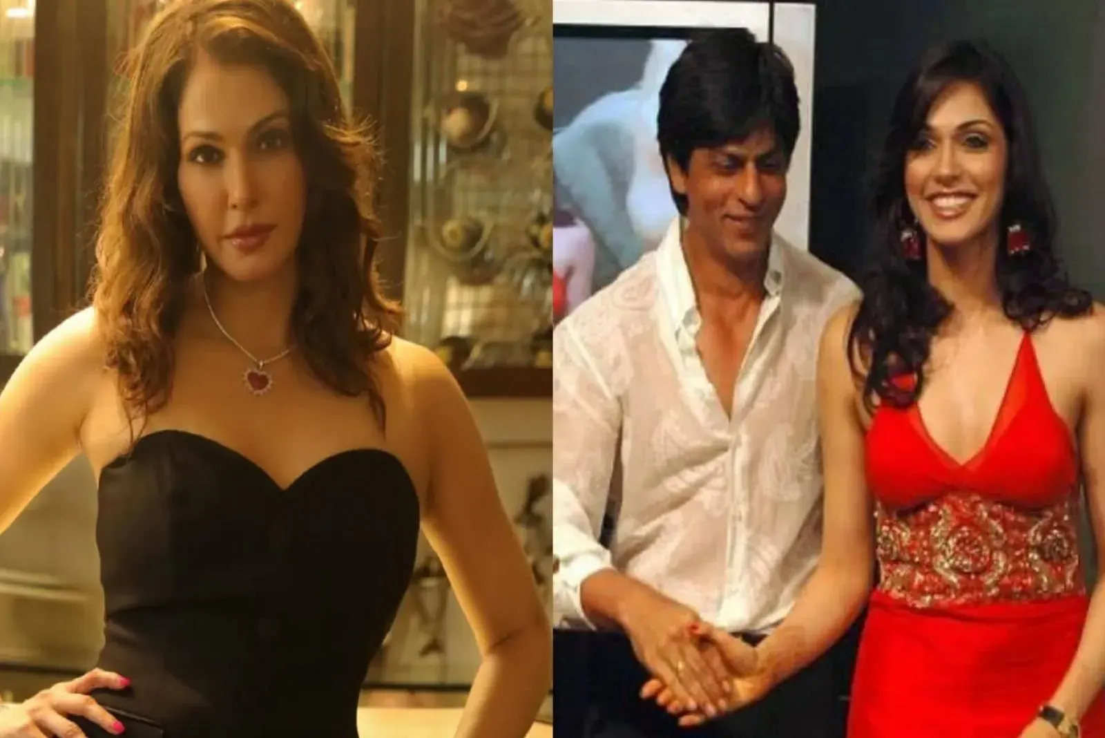 Isha Koppikar on Don 2 Sequel: Opens Up About Her Mixed Feelings, 'It Hurt Me at the Time'